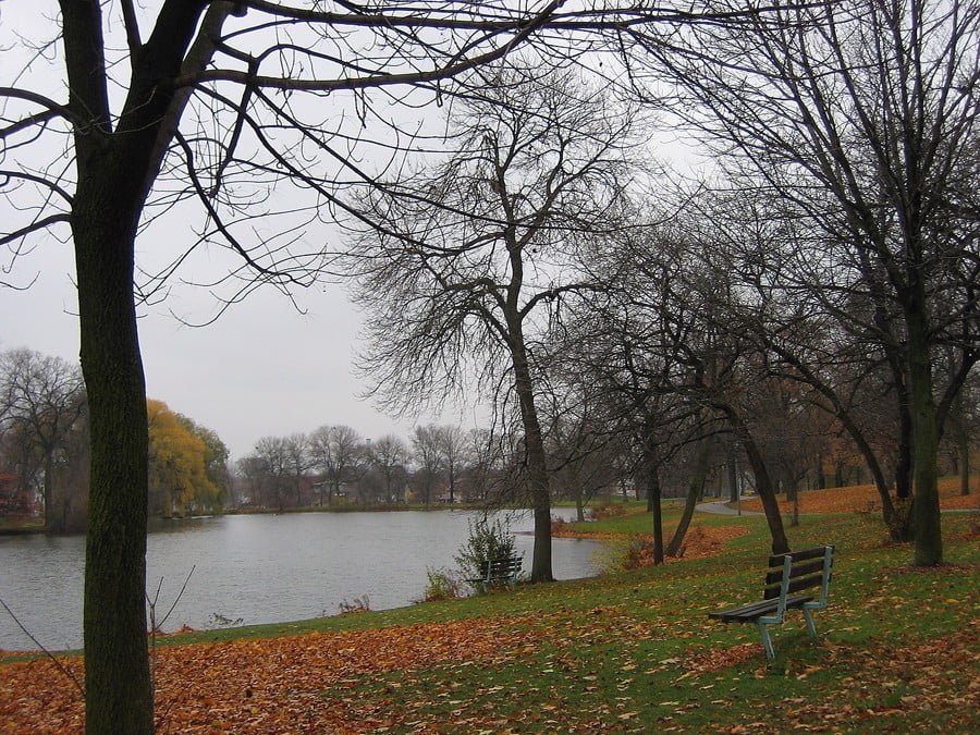 Wash-Park-2