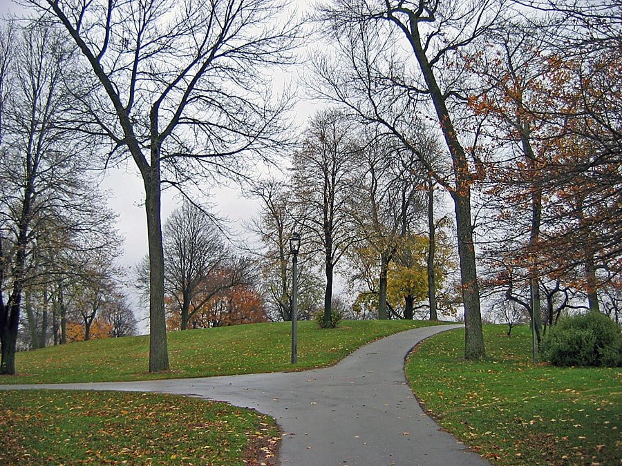 Wash-Park-3