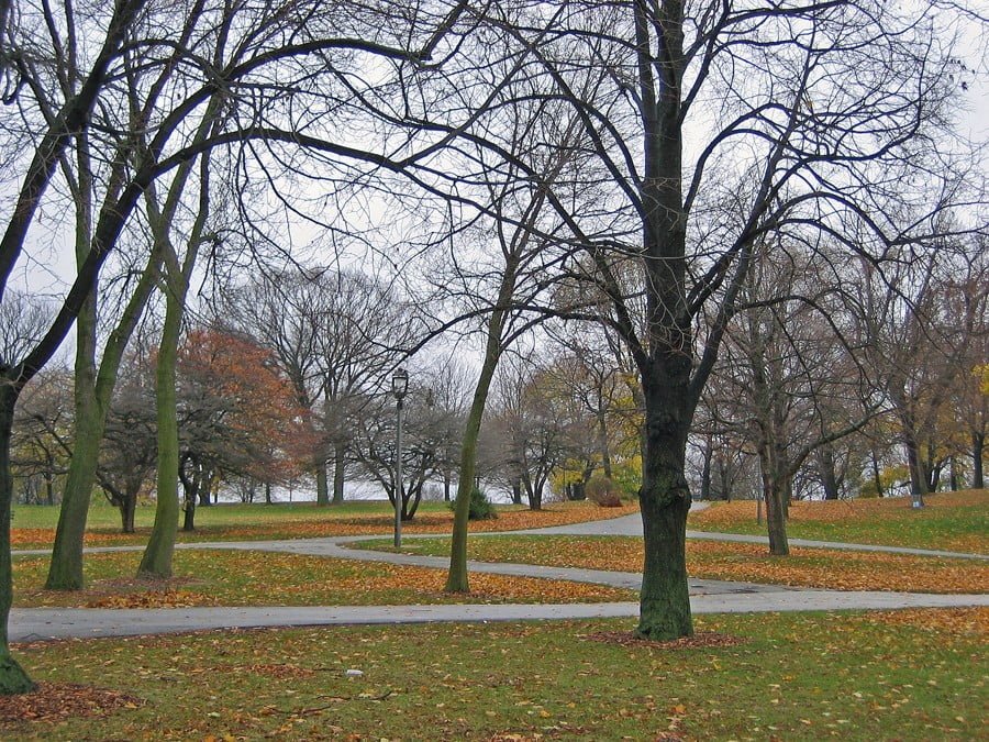 Wash-Park-7